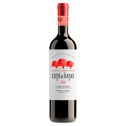 Picture of Bodegas Aragonesas Coto de Hayas Roble 750ml